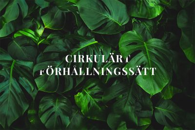 Cirkulärt förhållningssätt.