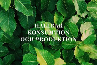 Hållbar konsumtion.