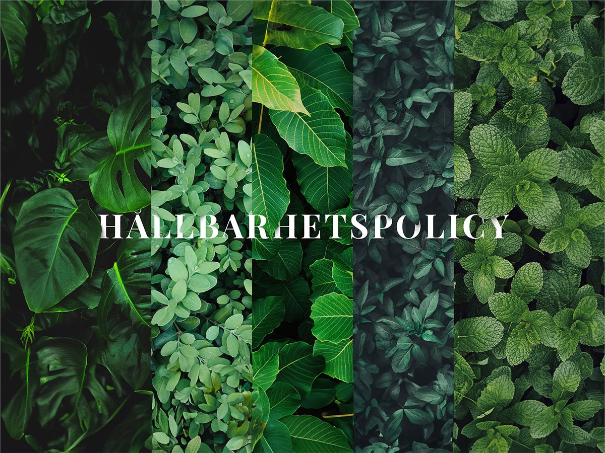 Hållbarhetspolicy skrivet på gröna blad.